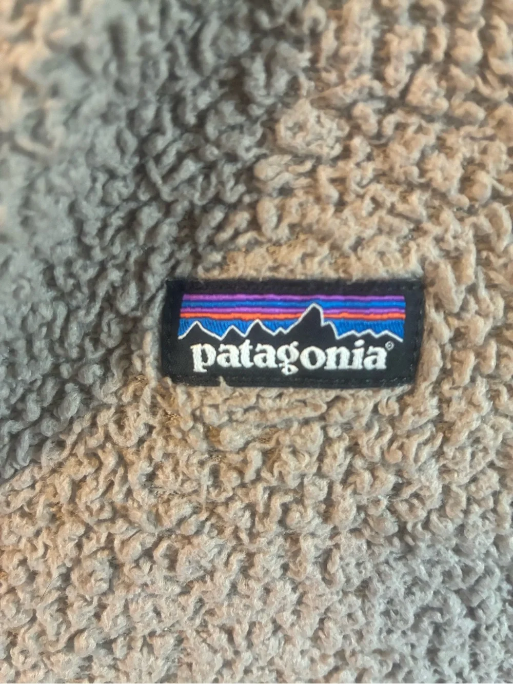 Patagonia Kids Sherpa Jacket in Taupe